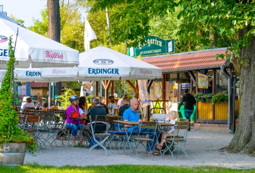 grüne bäume im biergarten