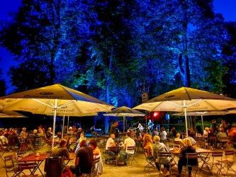 livemusik mit beleuchten bäumen